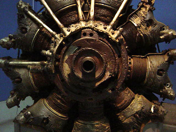 40654218_171.jpg